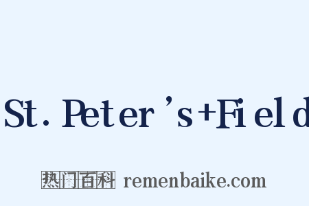 St.Peter’s+Field是什么意思的图片